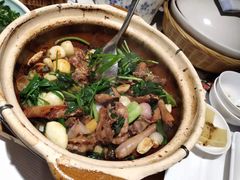 紫苏啫乳鸽-大鸽饭(体育西路店)