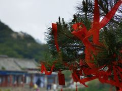 -泰山风景名胜区