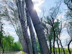 -东郊湿地公园
