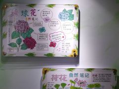 -上海昆虫博物馆