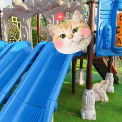 -萌宠亲子动物乐园(槐房万达店)