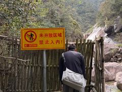 -黄山翡翠谷景区