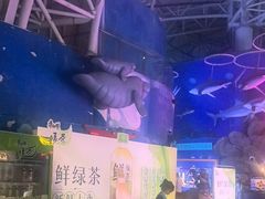 -烟台海昌鲸鲨海洋公园
