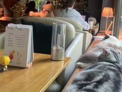 -咖法森林·咖啡  酒吧(天河店)