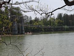 -东湖落雁景区