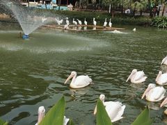-广州动物园