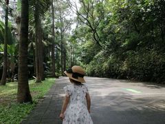 -金山植物公园