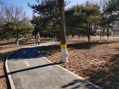 -太阳宫公园