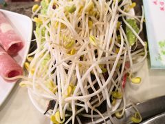 -朱氏胖子烂火锅(洪崖洞店)