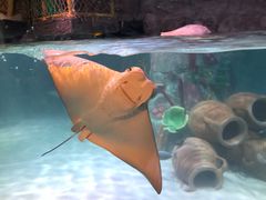 -沈阳海洋探索中心