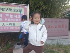 -鲁山国家森林公园