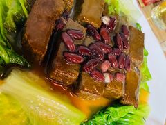 -东鸽皇(奥园·中环广场店)