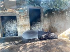 -合肥野生动物园