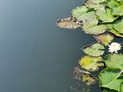 -西昌邛海宾馆