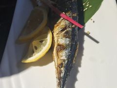 -鲸山上·私房日料(泰达MSD店)