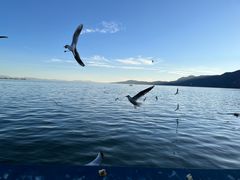 -滇池海埂公园