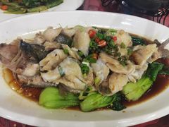 -众乐大盘菜