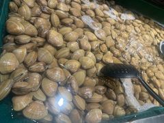-初色海鲜自助(万丰路店)