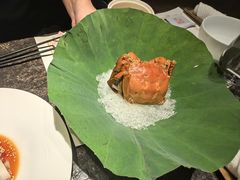 -觀芷隐轩
