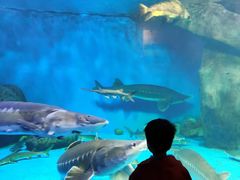 -多彩贵州城极地海洋世界