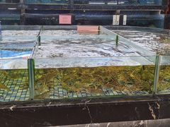 -金塘胜宴(石湾店)