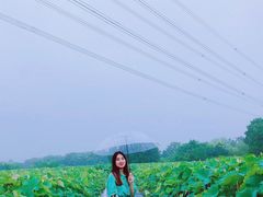 -梁鸿国家湿地公园