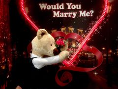 -济州岛泰迪熊博物馆