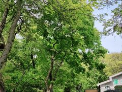 -WeLope紫金山探险公园