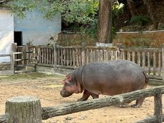 -昆明动物园