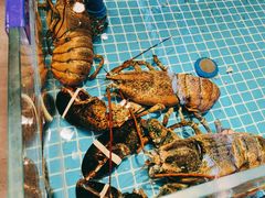 -鱼满舱.地标海鲜.正宗鲁菜(金沙滩店)