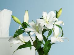 -虎门国际购物中心