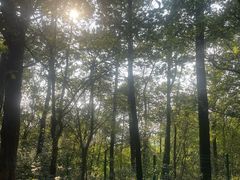 -宝岩生态观光园