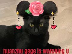 -康成宠物医院24H·CT·核磁共振