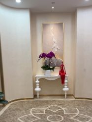 -JUVA欧华医美连锁