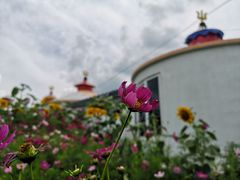 -格桑花餐厅·炭火烤羊腿(丰宁坝上草原店)