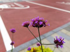 -西安创业咖啡街区