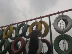 -中国扬子鳄村
