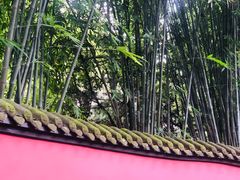 -成都武侯祠博物馆