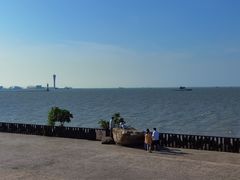 -上海滨江森林公园