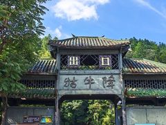 -石台牯牛降景区