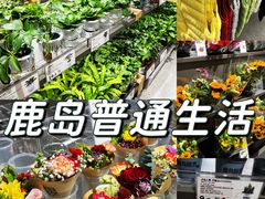 -鹿岛生活(熙地港店)