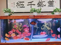 -凯鸽酒楼(恒安新区店)