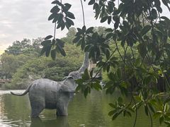 -深圳野生动物园