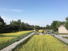 -北坞公园