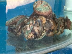-海之味海鲜大咖·家常菜