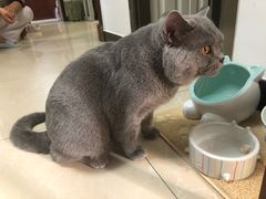 -Goku PET SHOP宠物视觉生活馆(双井店)