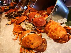 -视界美食自助餐厅·石家庄希尔顿酒店