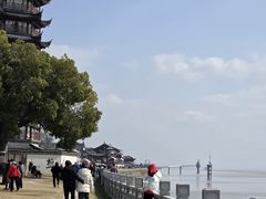 -观潮胜地公园