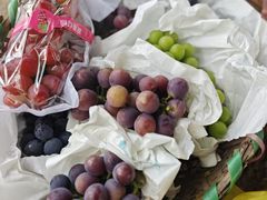 -马陆小张葡萄园农家乐