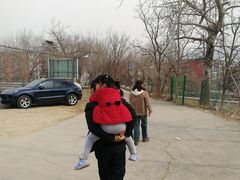 -白水寺森林公园